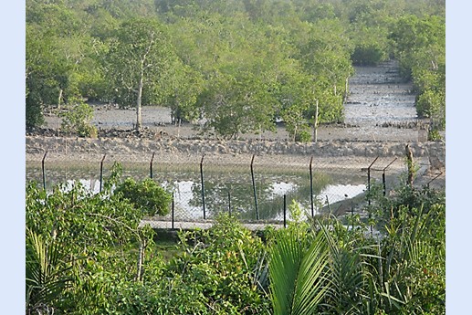 Viaggio in India 2008 - Sunderbans